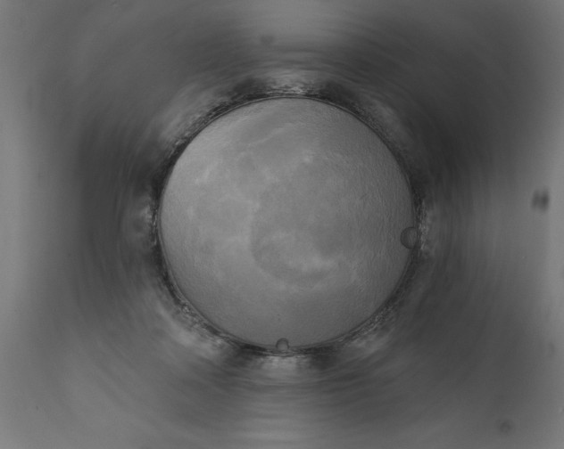 X0000111480314200907281209