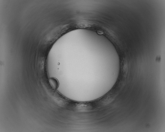 X0000111480315200907281209