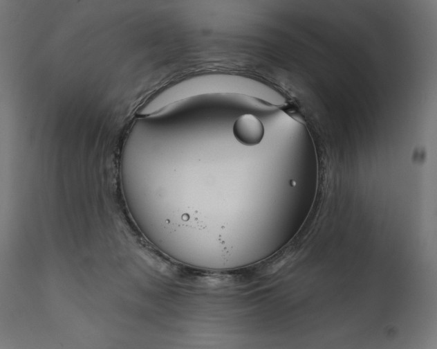 X0000111480317200907281209
