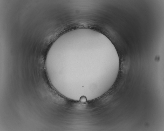 X0000111480318200907281209