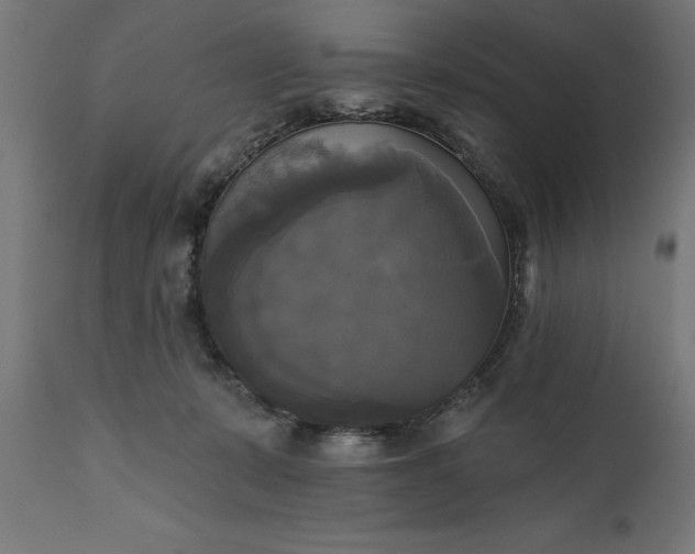 X0000111480319200907281209
