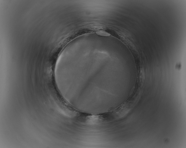 X0000111480320200907281209