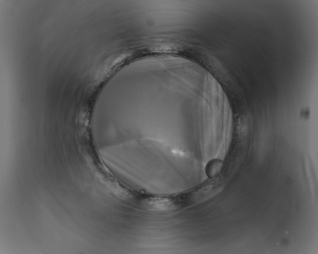 X0000111480322200907281209