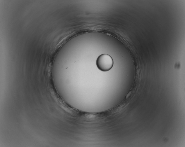 X0000111480325200907281209