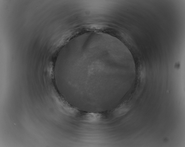 X0000111480328200907281209