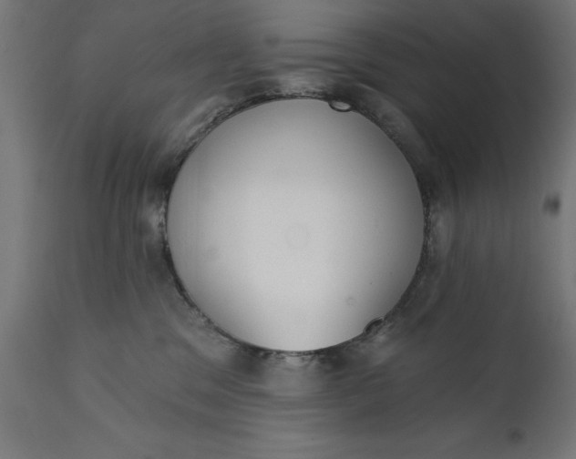 X0000111480329200907281209