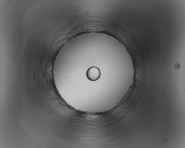 X0000111480332200907281209