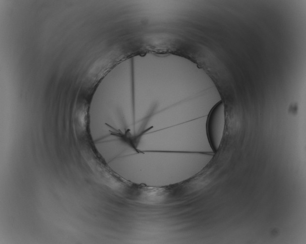 X0000111480334200907281209