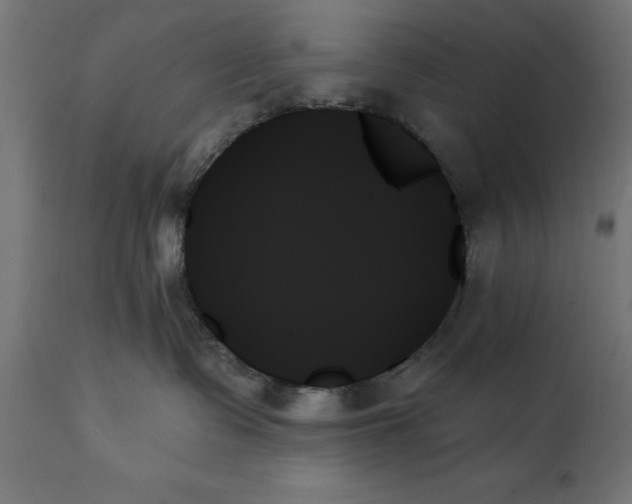X0000111480335200907281209