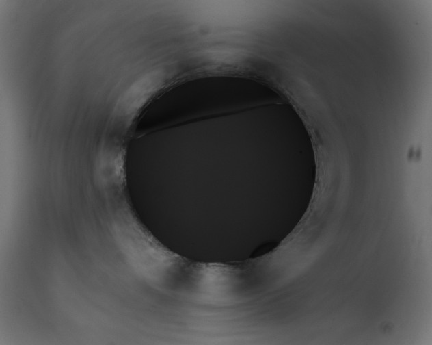 X0000111480336200907281209