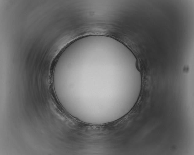 X0000111480338200907281208