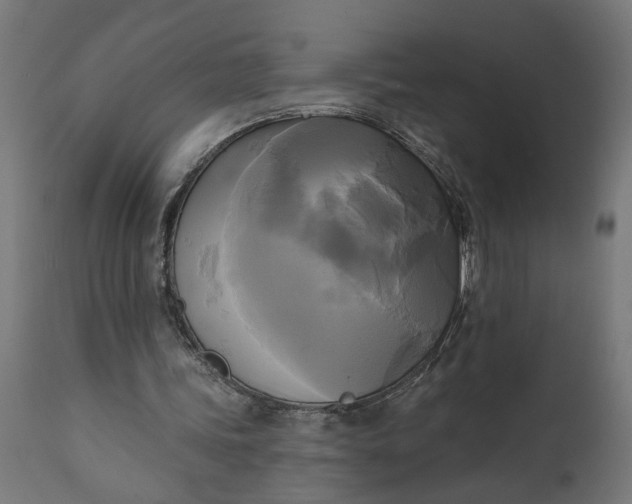 X0000111480339200907281208