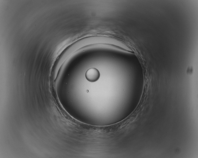 X0000111480340200907281208