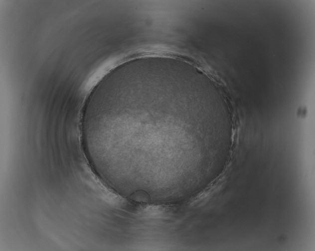 X0000111480341200907281208