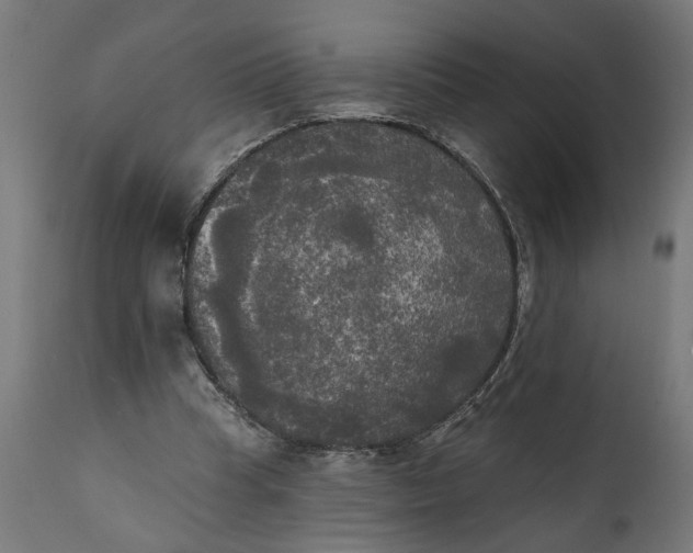 X0000111480345200907281208
