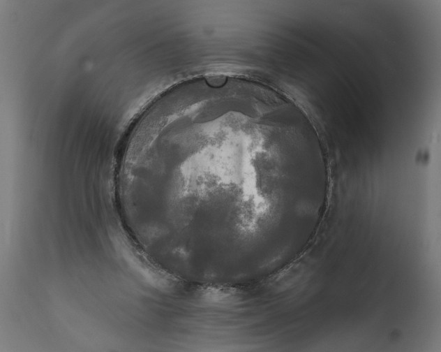 X0000111480346200907281208