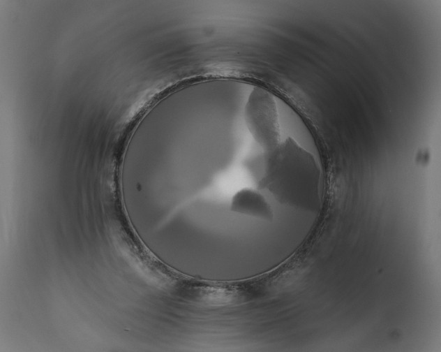 X0000111480347200907281208