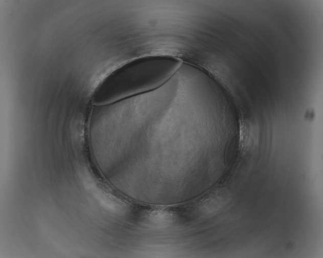X0000111480348200907281208