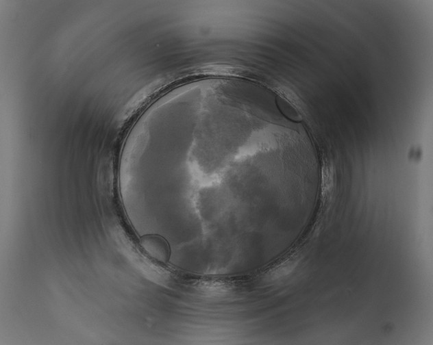 X0000111480349200907281208