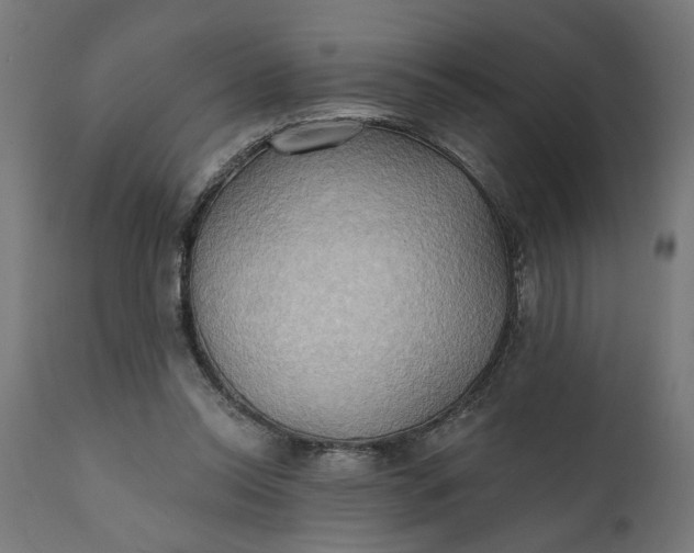 X0000111480350200907281208
