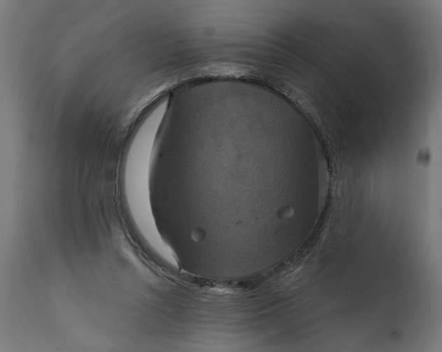 X0000111480352200907281208