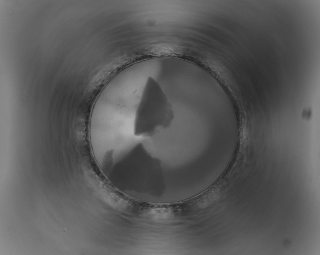 X0000111480353200907281208