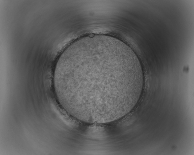 X0000111480354200907281208