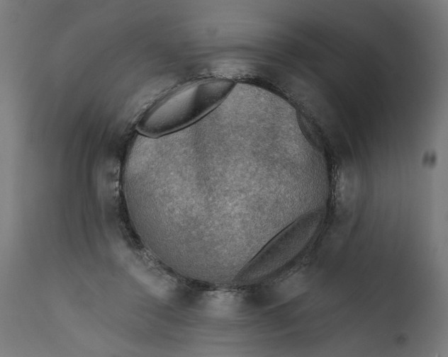 X0000111480356200907281208