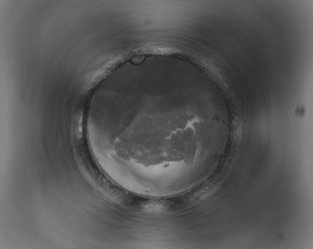 X0000111480358200907281208