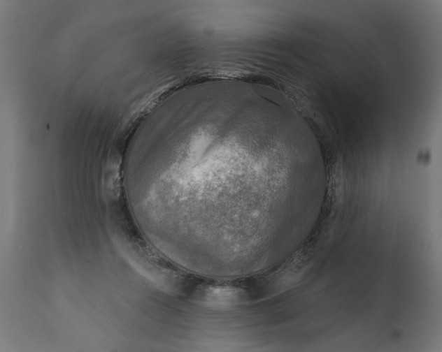 X0000111480360200907281208