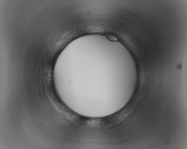 X0000111480362200907281208