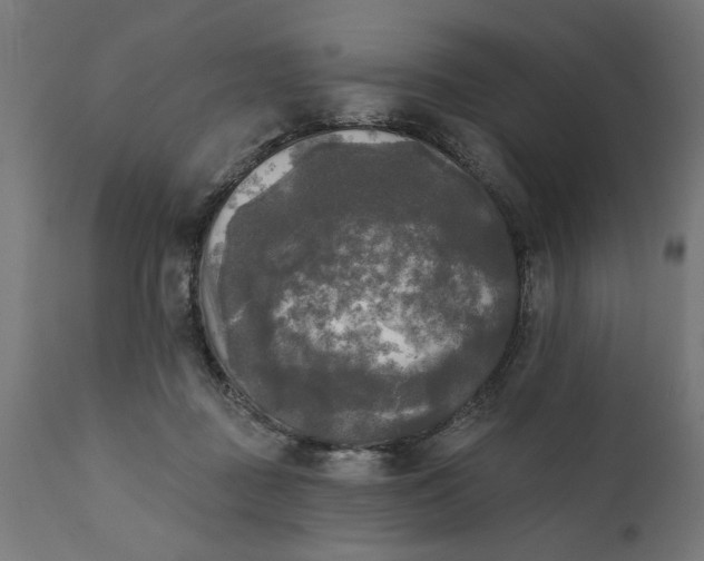 X0000111480363200907281208