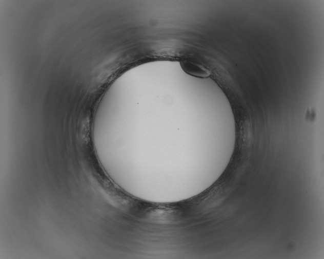 X0000111480364200907281208