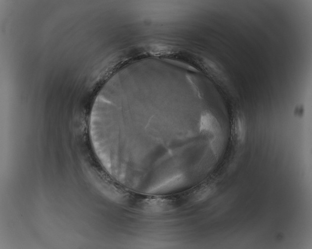 X0000111480367200907281209