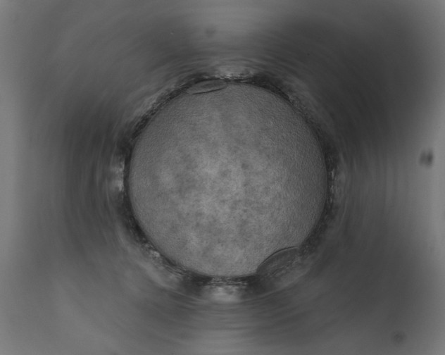 X0000111480368200907281209