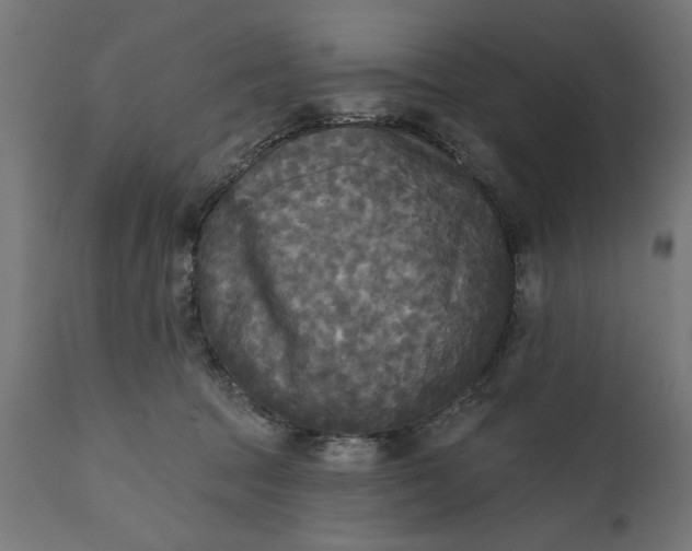 X0000111480369200907281209