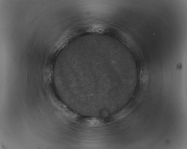 X0000111480370200907281209
