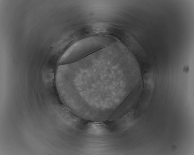 X0000111480372200907281209