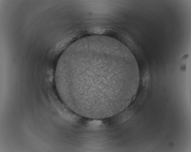 X0000111480374200907281209