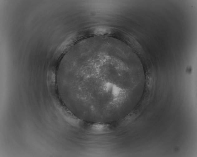 X0000111480375200907281209