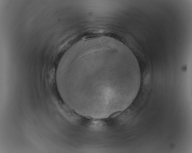 X0000111480376200907281209