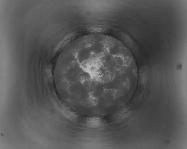 X0000111480377200907281209