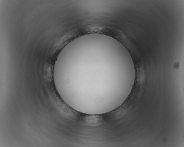 X0000111480378200907281209