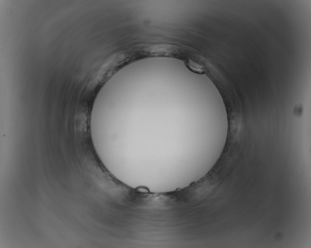 X0000111480379200907281209
