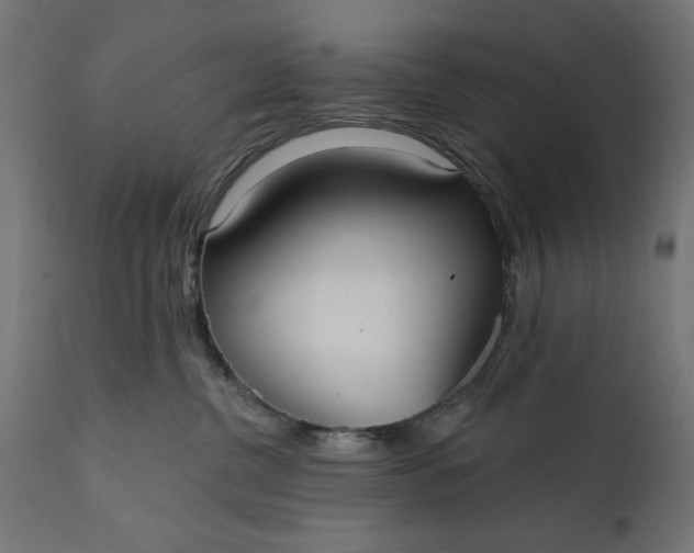 X0000111480380200907281209