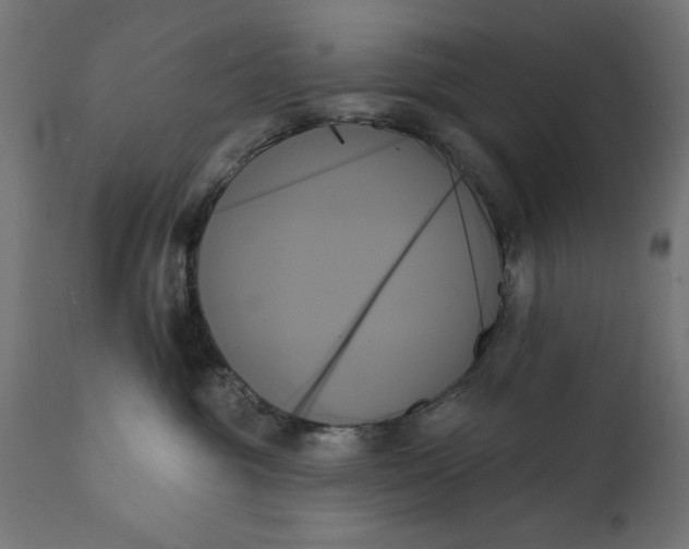 X0000111480381200907281209