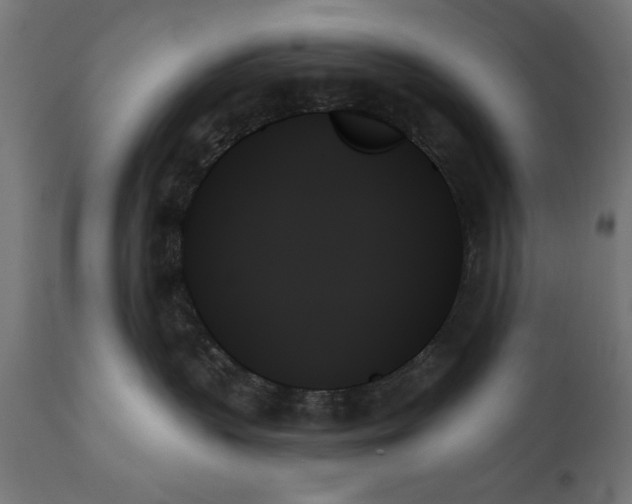 X0000111480383200907281209