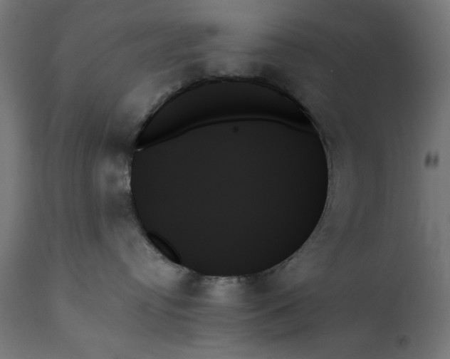 X0000111480384200907281209