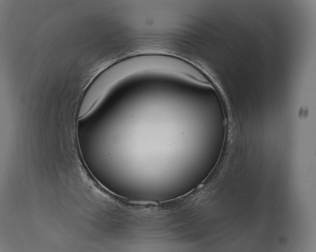 X0000111480385200907281208