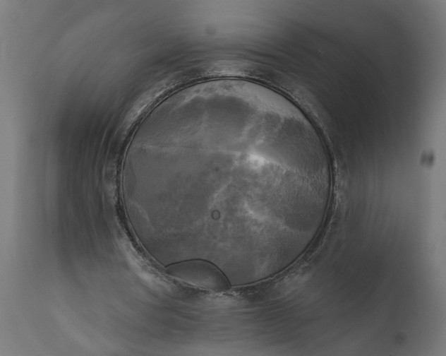 X0000111480386200907281208